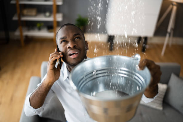 Best Flood restoration services  in Pumpkin Center, NC