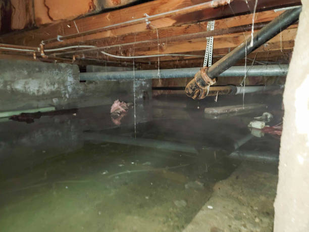  Pumpkin Center, NC Water damage restoration Pros
