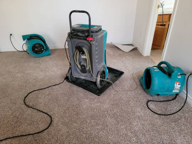Best Local water damage restoration  in Pumpkin Center, NC