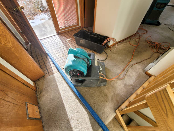 Best Flooded house restoration  in Pumpkin Center, NC