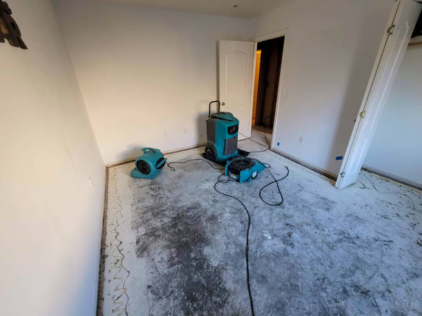 Best Fire Damage Restoration  in Pumpkin Center, NC