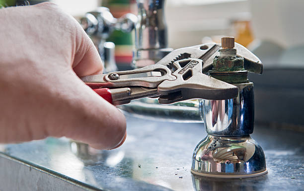 Best Carpet water damage restoration  in Pumpkin Center, NC