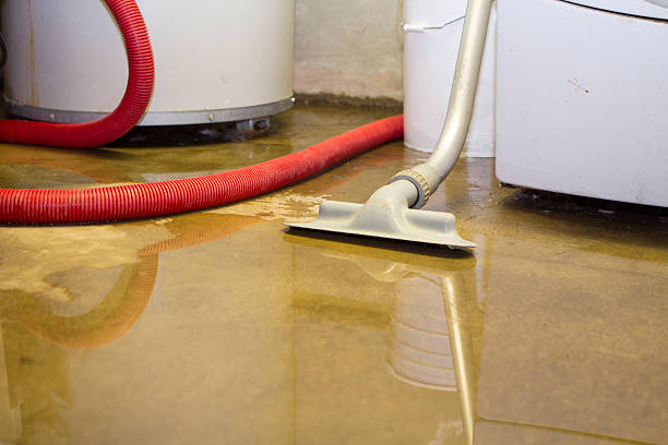 Best Residential water damage restoration  in Pumpkin Center, NC
