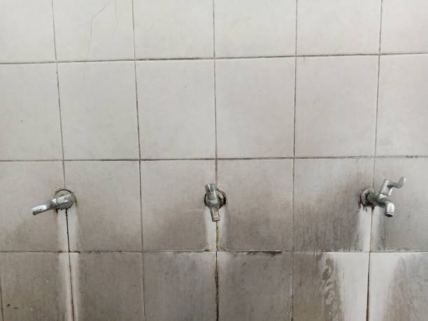 Best Commercial water damage restoration  in Pumpkin Center, NC