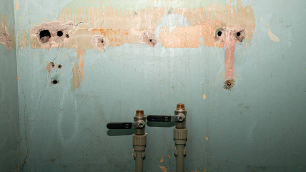 Best Flood damage cleanup  in Pumpkin Center, NC