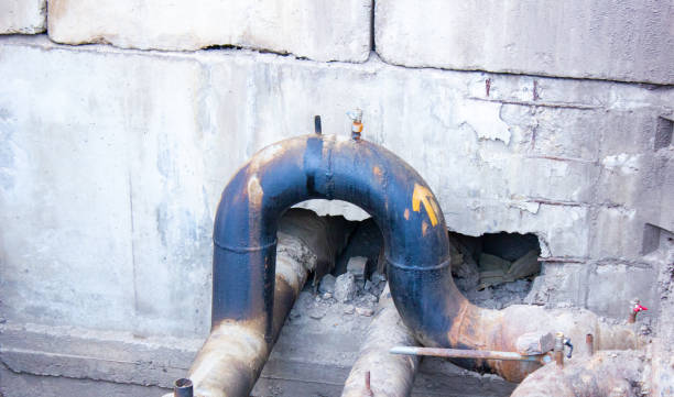 Best Water damage restoration near me  in Pumpkin Center, NC