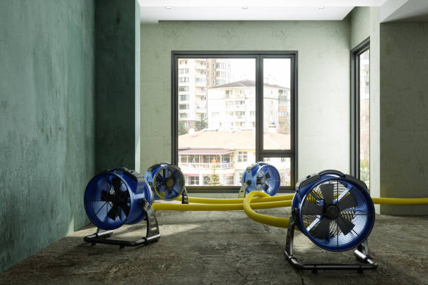 Best Water damage restoration services  in Pumpkin Center, NC