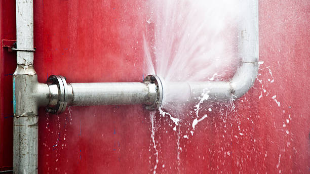 Best Emergency water damage restoration  in Pumpkin Center, NC